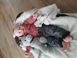 louis